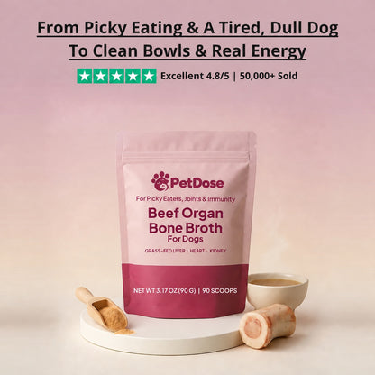 Beef Organ Bone Broth — (Grass Fed) Immune, Joint & Heart Support for Dogs