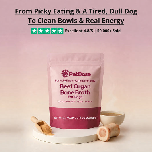 Beef Organ Bone Broth — (Grass Fed) Immune, Joint & Heart Support for Dogs