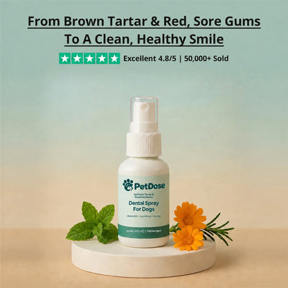 Dental Spray — Tartar Removal, Healthy Gums & Fresh Breath for Dogs