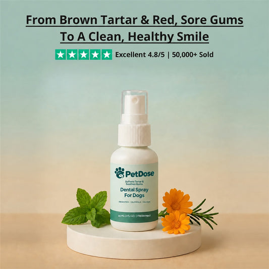 Dental Spray — Tartar Removal, Healthy Gums & Fresh Breath for Dogs