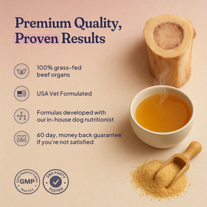 Beef Organ Bone Broth — (Grass Fed) Immune, Joint & Heart Support for Dogs