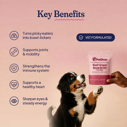 Beef Organ Bone Broth — (Grass Fed) Immune, Joint & Heart Support for Dogs
