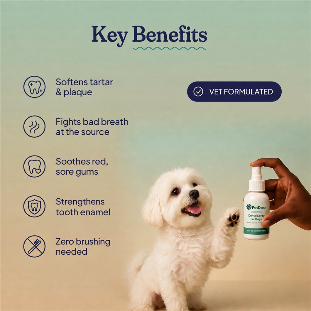 Dental Spray — Tartar Removal, Healthy Gums & Fresh Breath for Dogs