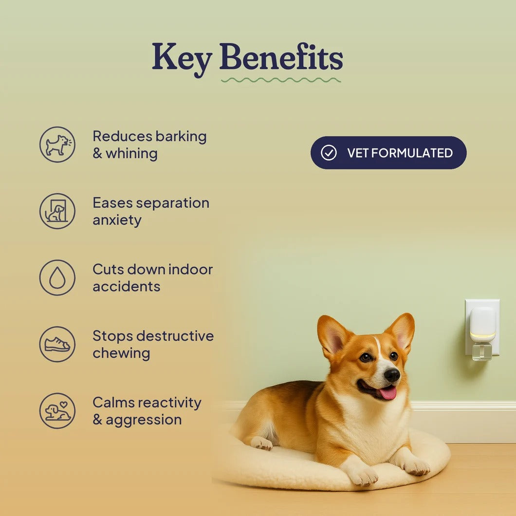Calming Diffuser Kit — Separation Anxiety, Barking & Accident Relief for Dogs