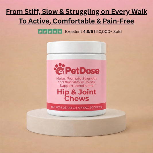 Hip & Joint Chews — Cartilage Support, Inflammation Relief & Long Term Mobility for Dogs
