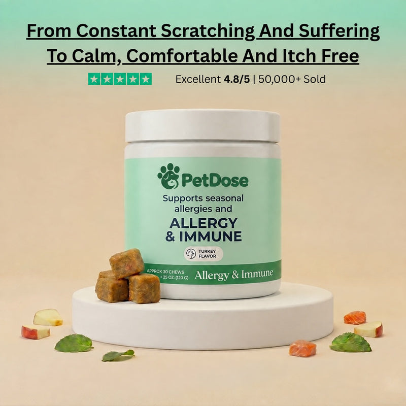Allergy & Immune Support Chews - Anti-Itch, Skin and Seasonal Relief for Dogs