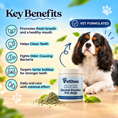 Dental Powder — Fresh Breath, Cleaner Teeth & Healthier Gums for Dogs