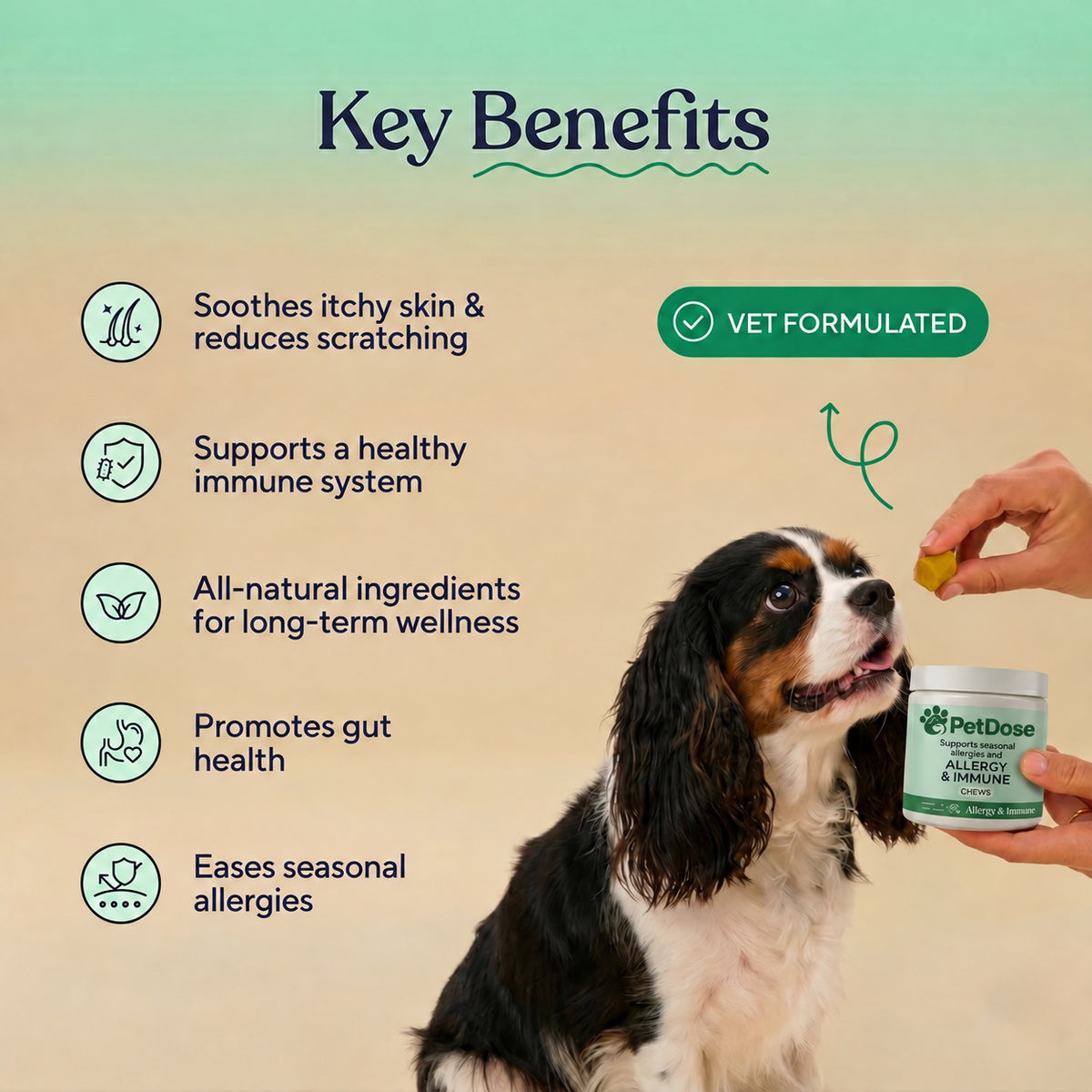 Allergy & Immune Support Chews - Anti-Itch, Skin and Seasonal Relief for Dogs