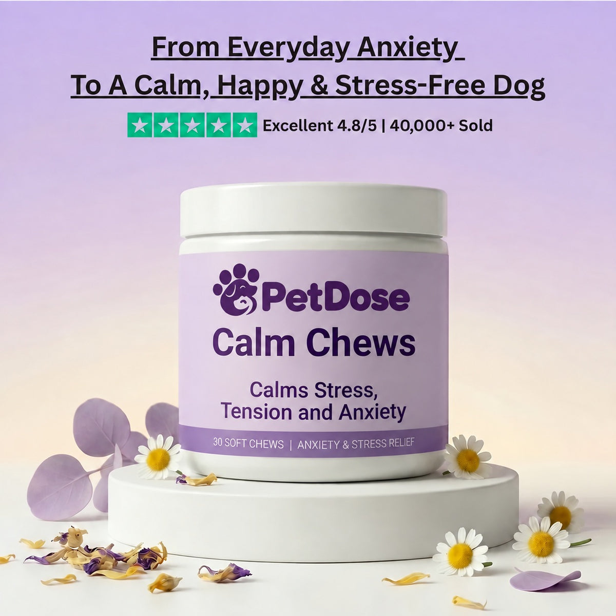 Calm Chews — Anxiety Relief & Daily Stress Support