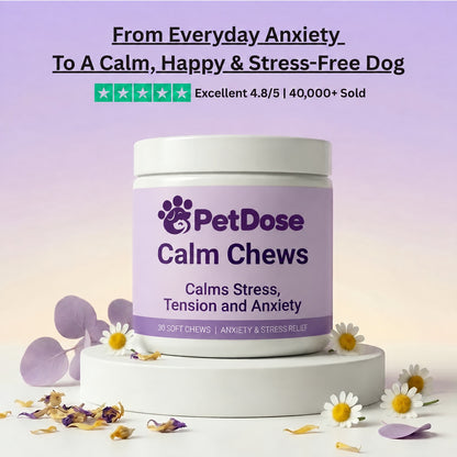 Calm Chews — Anxiety Relief & Daily Stress Support